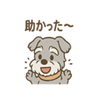 つぶやきシュナのぼやき日和スタンプ（個別スタンプ：15）