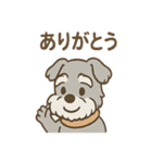 つぶやきシュナのぼやき日和スタンプ（個別スタンプ：16）