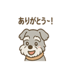 つぶやきシュナのぼやき日和スタンプ（個別スタンプ：19）