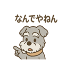 つぶやきシュナのぼやき日和スタンプ（個別スタンプ：21）