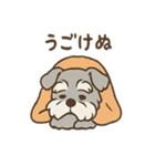 つぶやきシュナのぼやき日和スタンプ（個別スタンプ：23）