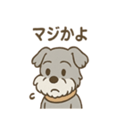 つぶやきシュナのぼやき日和スタンプ（個別スタンプ：24）