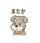 つぶやきシュナのぼやき日和スタンプ（個別スタンプ：28）