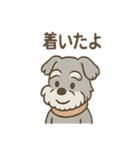つぶやきシュナのぼやき日和スタンプ（個別スタンプ：31）