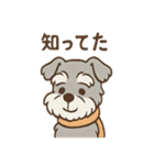 つぶやきシュナのぼやき日和スタンプ（個別スタンプ：34）