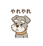 つぶやきシュナのぼやき日和スタンプ（個別スタンプ：36）