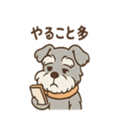つぶやきシュナのぼやき日和スタンプ（個別スタンプ：37）
