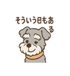 つぶやきシュナのぼやき日和スタンプ（個別スタンプ：40）
