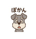 おとぼけシュナのつっこみ日常スタンプ（個別スタンプ：1）