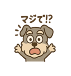 おとぼけシュナのつっこみ日常スタンプ（個別スタンプ：3）