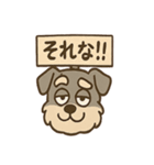 おとぼけシュナのつっこみ日常スタンプ（個別スタンプ：4）