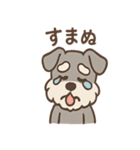 おとぼけシュナのつっこみ日常スタンプ（個別スタンプ：13）
