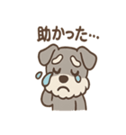 おとぼけシュナのつっこみ日常スタンプ（個別スタンプ：14）