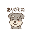 おとぼけシュナのつっこみ日常スタンプ（個別スタンプ：17）