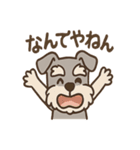 おとぼけシュナのつっこみ日常スタンプ（個別スタンプ：19）