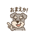 おとぼけシュナのつっこみ日常スタンプ（個別スタンプ：22）