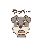 おとぼけシュナのつっこみ日常スタンプ（個別スタンプ：23）