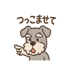 おとぼけシュナのつっこみ日常スタンプ（個別スタンプ：24）