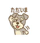 おとぼけシュナのつっこみ日常スタンプ（個別スタンプ：30）