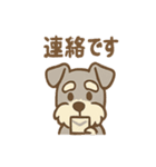 おとぼけシュナのつっこみ日常スタンプ（個別スタンプ：33）