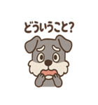 おとぼけシュナのつっこみ日常スタンプ（個別スタンプ：36）