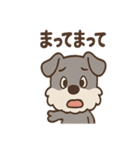 おとぼけシュナのつっこみ日常スタンプ（個別スタンプ：37）