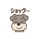 おとぼけシュナのつっこみ日常スタンプ（個別スタンプ：38）