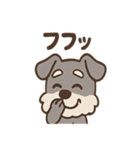 おとぼけシュナのつっこみ日常スタンプ（個別スタンプ：39）