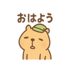 朝昼晩つかえる ねむたカピのあいさつ便り（個別スタンプ：1）