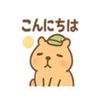 朝昼晩つかえる ねむたカピのあいさつ便り（個別スタンプ：12）