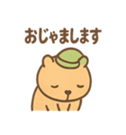 朝昼晩つかえる ねむたカピのあいさつ便り（個別スタンプ：38）