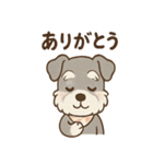 ありがとうが言える ねぎらいシュナの癒し（個別スタンプ：1）
