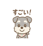 ありがとうが言える ねぎらいシュナの癒し（個別スタンプ：2）