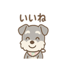 ありがとうが言える ねぎらいシュナの癒し（個別スタンプ：3）
