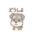 ありがとうが言える ねぎらいシュナの癒し（個別スタンプ：5）