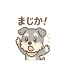 ありがとうが言える ねぎらいシュナの癒し（個別スタンプ：6）