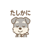 ありがとうが言える ねぎらいシュナの癒し（個別スタンプ：7）