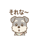 ありがとうが言える ねぎらいシュナの癒し（個別スタンプ：8）