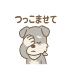 ありがとうが言える ねぎらいシュナの癒し（個別スタンプ：11）