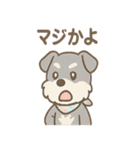 ありがとうが言える ねぎらいシュナの癒し（個別スタンプ：13）