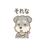 ありがとうが言える ねぎらいシュナの癒し（個別スタンプ：14）