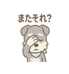 ありがとうが言える ねぎらいシュナの癒し（個別スタンプ：15）