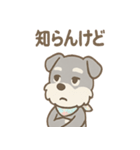 ありがとうが言える ねぎらいシュナの癒し（個別スタンプ：17）