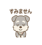 ありがとうが言える ねぎらいシュナの癒し（個別スタンプ：19）