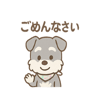 ありがとうが言える ねぎらいシュナの癒し（個別スタンプ：20）