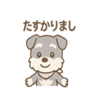 ありがとうが言える ねぎらいシュナの癒し（個別スタンプ：22）