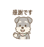 ありがとうが言える ねぎらいシュナの癒し（個別スタンプ：24）