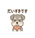 ありがとうが言える ねぎらいシュナの癒し（個別スタンプ：38）