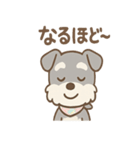ありがとうが言える ねぎらいシュナの癒し（個別スタンプ：39）