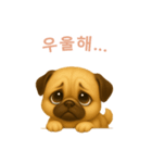 パグスタンプ【韓国語】（個別スタンプ：7）